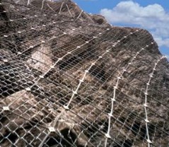 ʯ�\�W(w��ng)